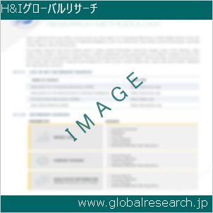 グローバルリサーチ調査レポートのイメージ